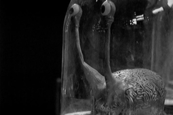  played by  in Doctor Who: 