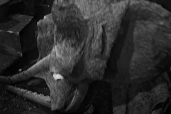  played by  in Doctor Who: 