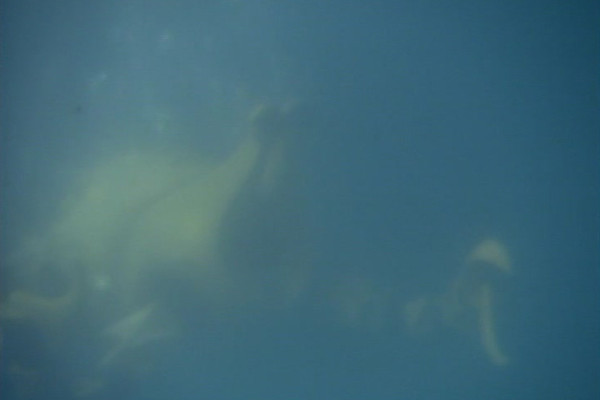  played by  in Doctor Who: 