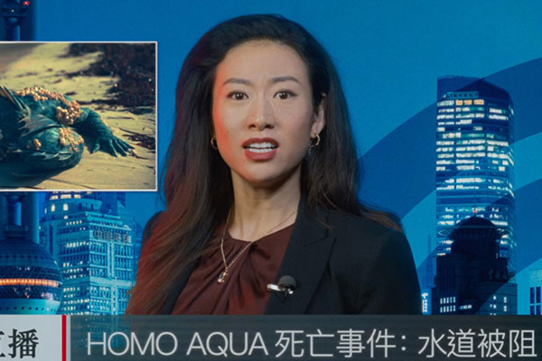 Chinese Reporter played by Quanna Luo Masterson in Doctor Who: The End of the War