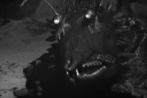  played by  in Doctor Who: 