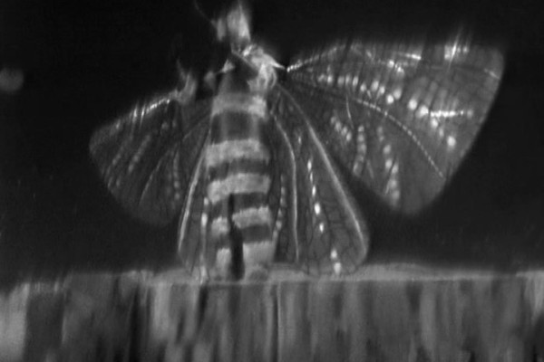  played by  in Doctor Who: 