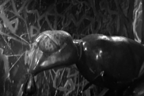  played by  in Doctor Who: 