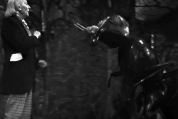  played by  in Doctor Who: 