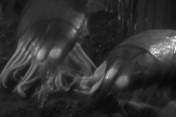  played by  in Doctor Who: 