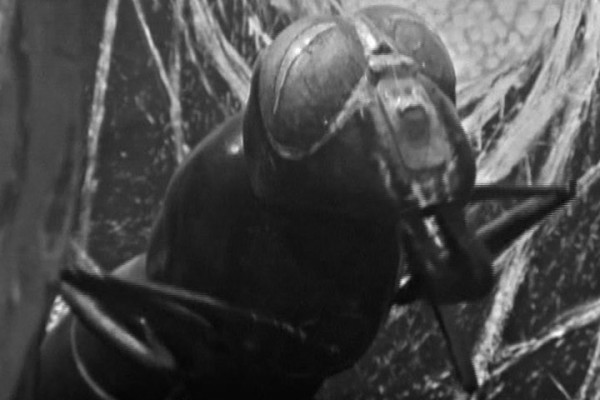  played by  in Doctor Who: 