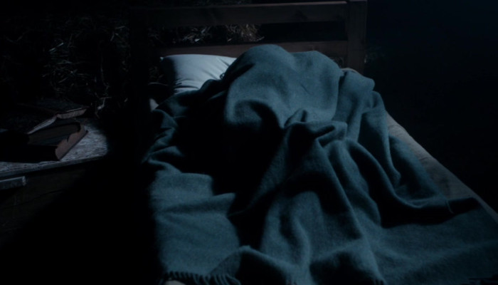 The Doctor in the barn