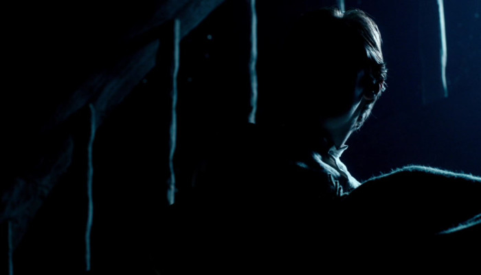 The Doctor in the barn